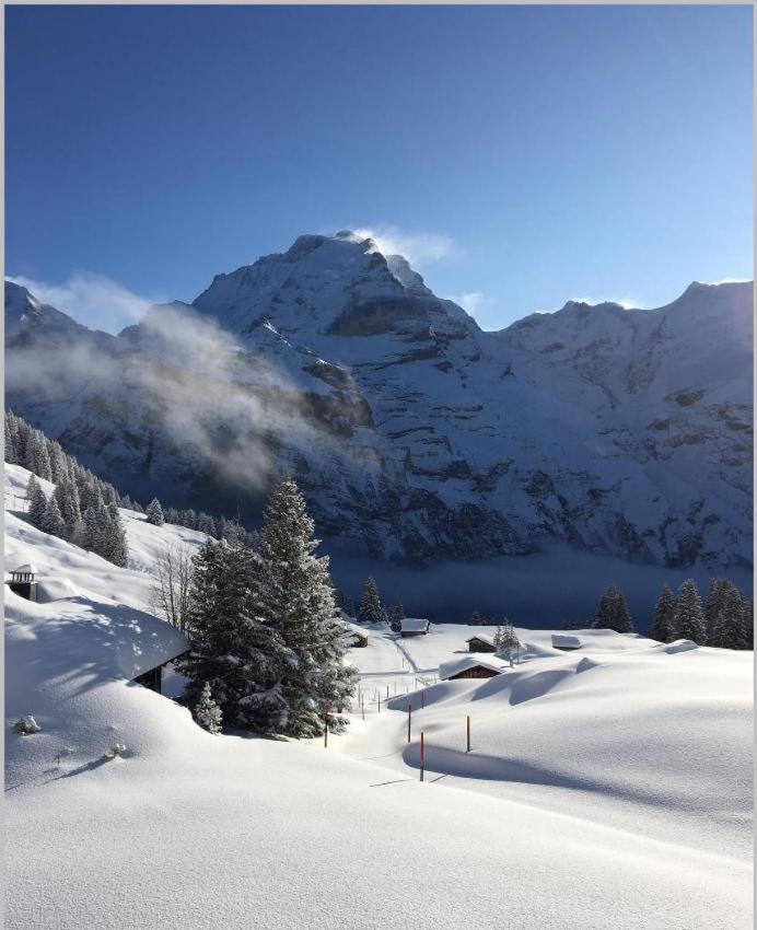 Sonnenberg Dormitories Mürren Kültér fotó