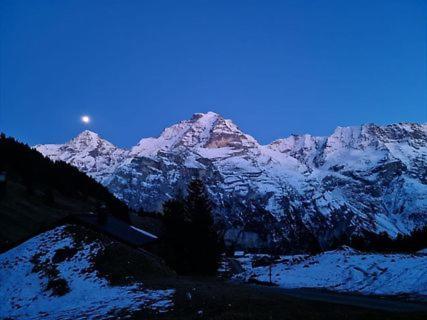 Sonnenberg Dormitories Mürren Kültér fotó